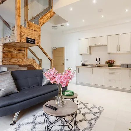 Luxury * 브래드퍼드